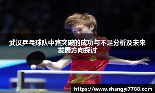 武汉乒乓球队中路突破的成功与不足分析及未来发展方向探讨